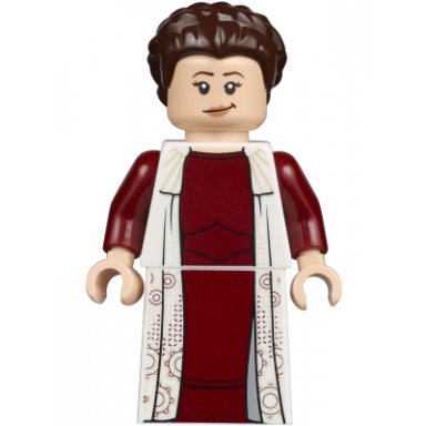 princess leia - bespin outfit