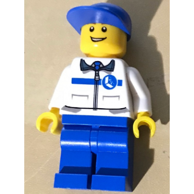 lego life minifigure