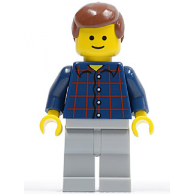 plaid button shirt light bluish gray legs reddish brown male hair standard grin