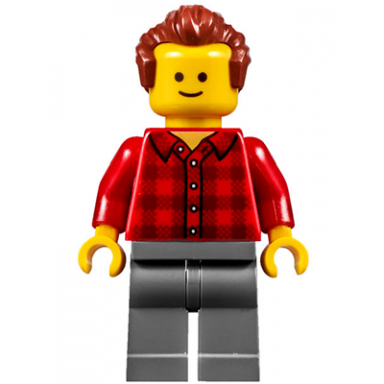 music store assistant - male red plaid flannel shirt dark bluish gray legs reddish brown hair