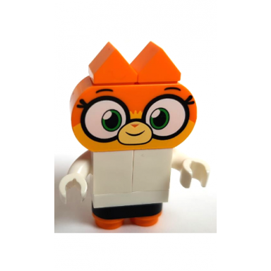 dr fox