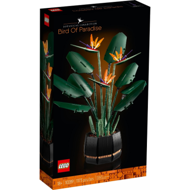 bird of paradise