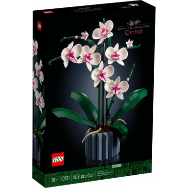 orchid