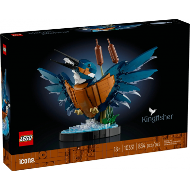 kingfisher bird