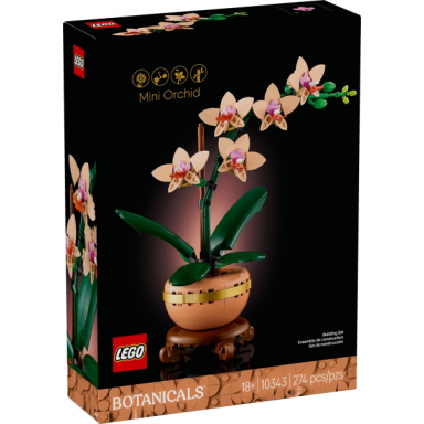 mini orchid
