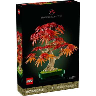 japanese maple tree