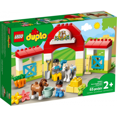 horse stable and pony care