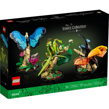 the insect collection