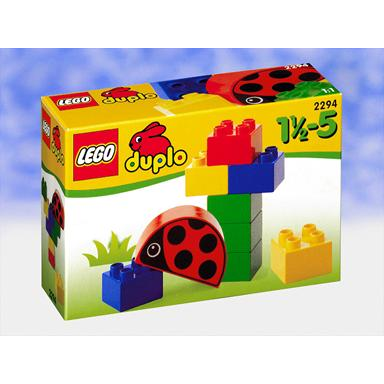 ladybug