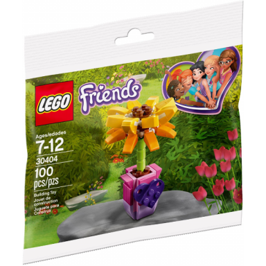 friendship flower sunflower polybag