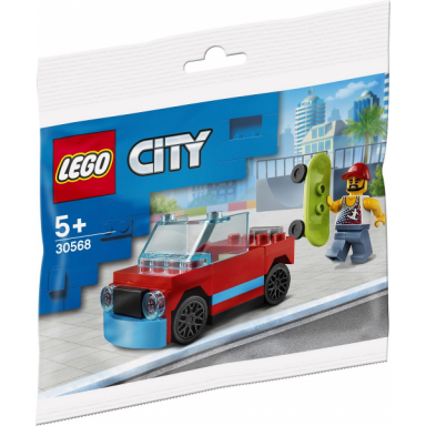 skater polybag