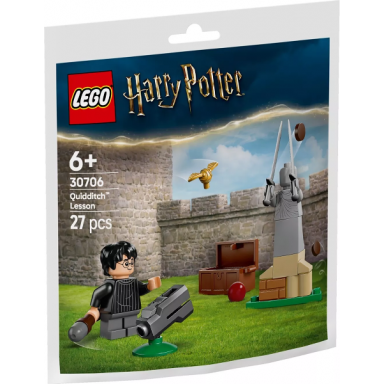 quidditch lesson paper bag polybag