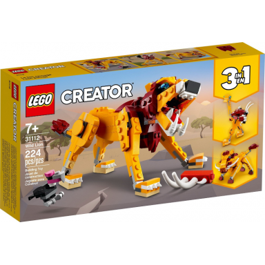 wild lion