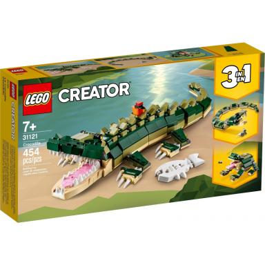 crocodile