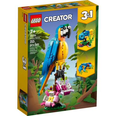 exotic parrot