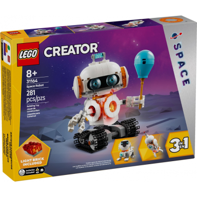 space robot