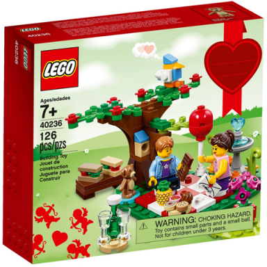 romantic valentine picnic