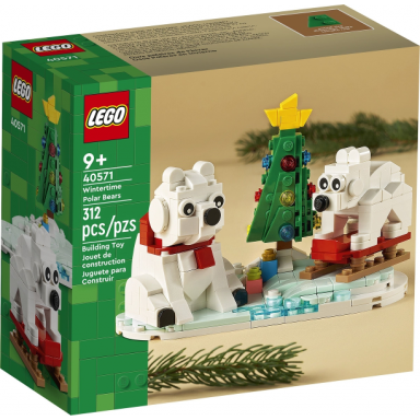 wintertime polar bears