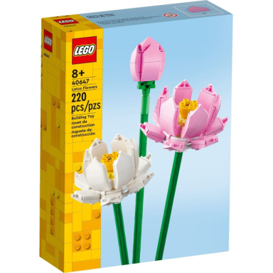 lotus flowers