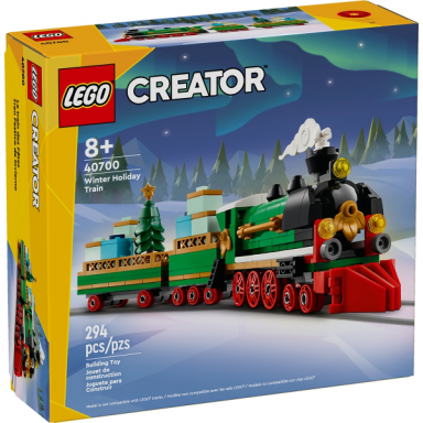 winter holiday train