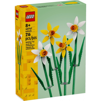daffodils