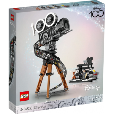walt disney tribute camera 100