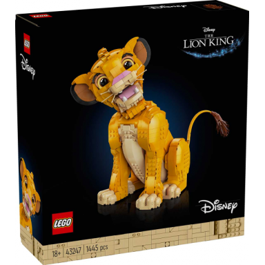 young simba the lion king