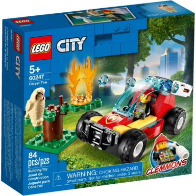 forest fire