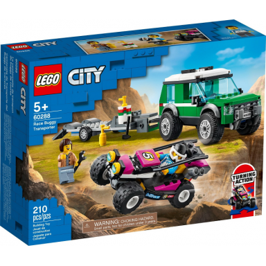 race buggy transporter