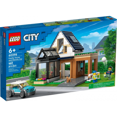 family house and electric car