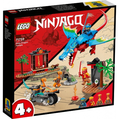 ninja dragon temple