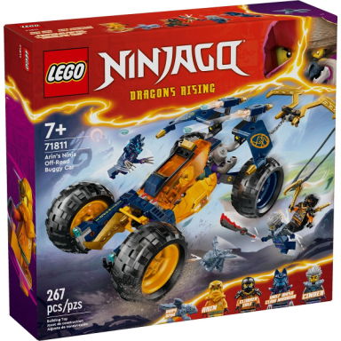 arins ninja off-road buggy car