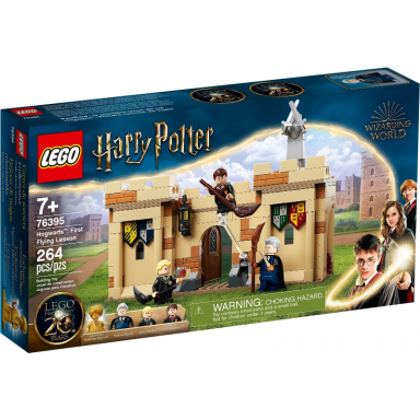 hogwarts: first flying lesson