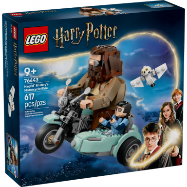 hagrid harrys motorcycle ride