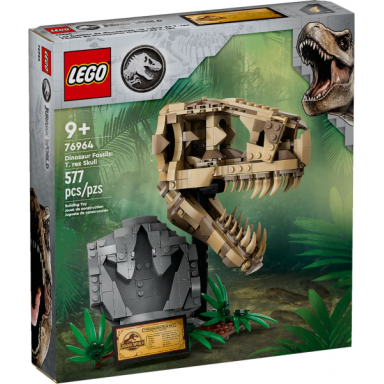 dinosaur fossils: t rex skull