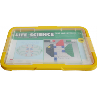 chromosomes - student set