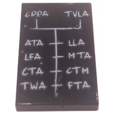 black tile 2 x 3 with white cdda tvla ata lla lfa mta cta ctm twa and fta pattern