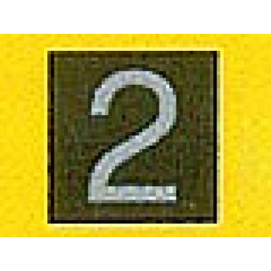 black tile 1 x 1 with silver number 2 pattern