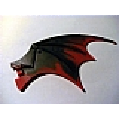 black dragon wing 19 x 11 with marbled dark red trailing edge pattern