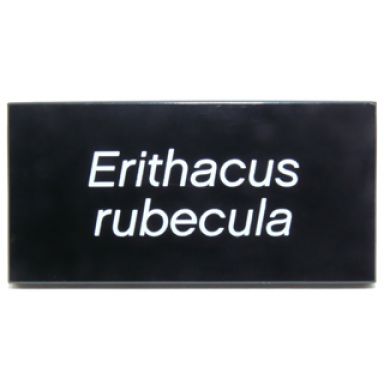 black tile 2 x 4 with white erithacus rubecula pattern