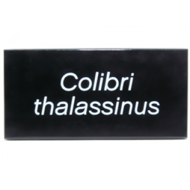 black tile 2 x 4 with white colibri thalassinus pattern
