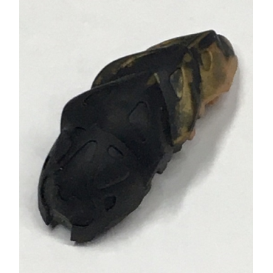 bionicle rahkshi kraata stage 6 with marbled pattern list head color describe the rest