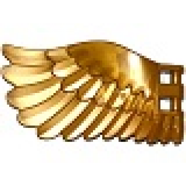 pearl gold wing 4 x 7 left with feathers and bar handles