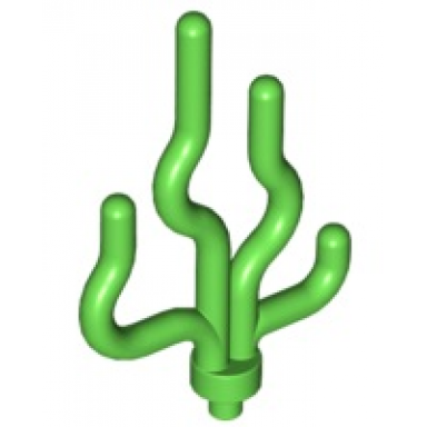 bright green plant sea grass seaweed