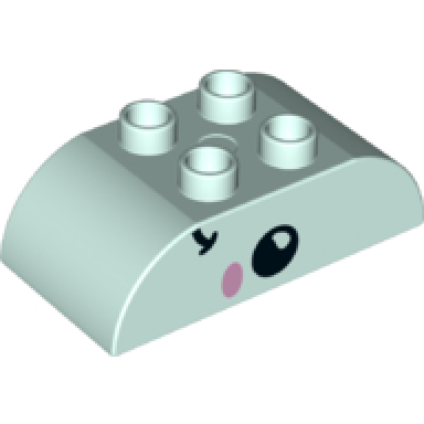 light aqua duplo brick 2 x 4 slope curved double with black eye and smile and bright pink cheek pattern on both sides