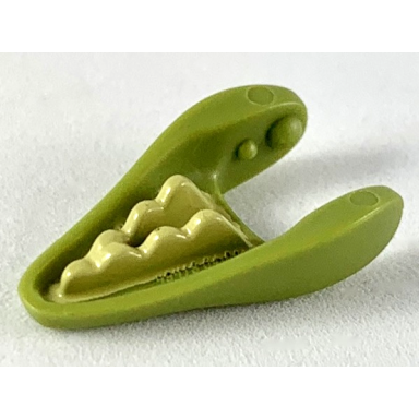 olive green dinosaur jaw lower small with tan teeth pattern