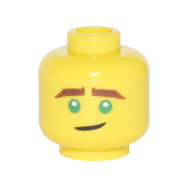 yellow minifigure head reddish brown eyebrows green eyes crooked smile pattern lloyd