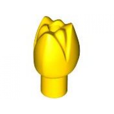 yellow plant flower tulip with bar and small pin hole