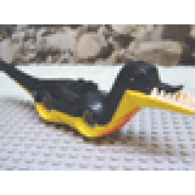 yellow dinosaur body pteranodon raptor with black top and complementary bottom pattern
