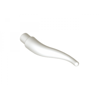 white cattle horn long